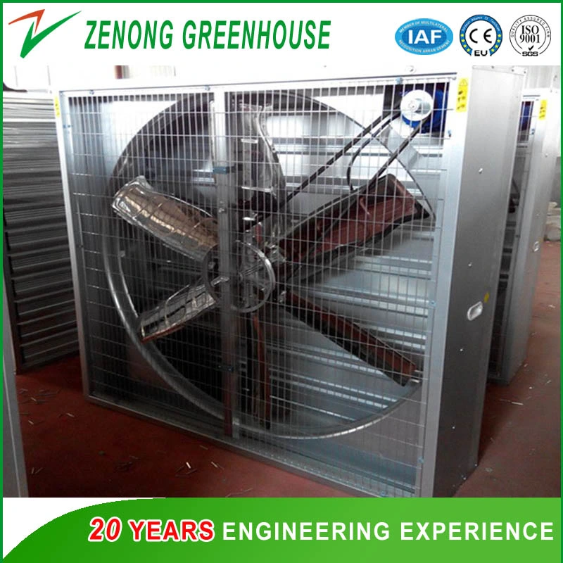 Modern Agriculture Multi-Span Film Greenhouse for Hydroponic Vertical Farming
