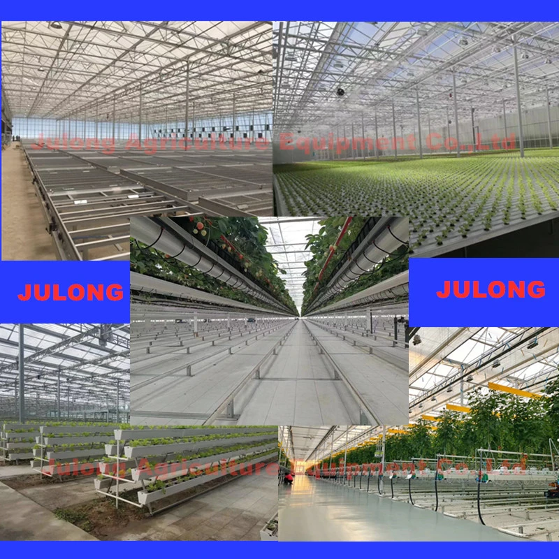 Venlo Glass Multi-Span Greenhouse Agriculture Greenhouse for Aquaponic Farm