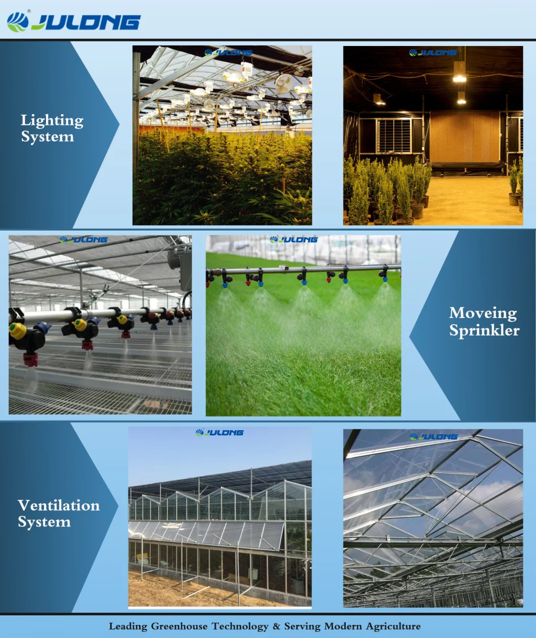 Agricultural Planting Aquaponics Vegetable Tomato Hydroponic System Multi Span Polycarbonate PC Sheet Greenhouse