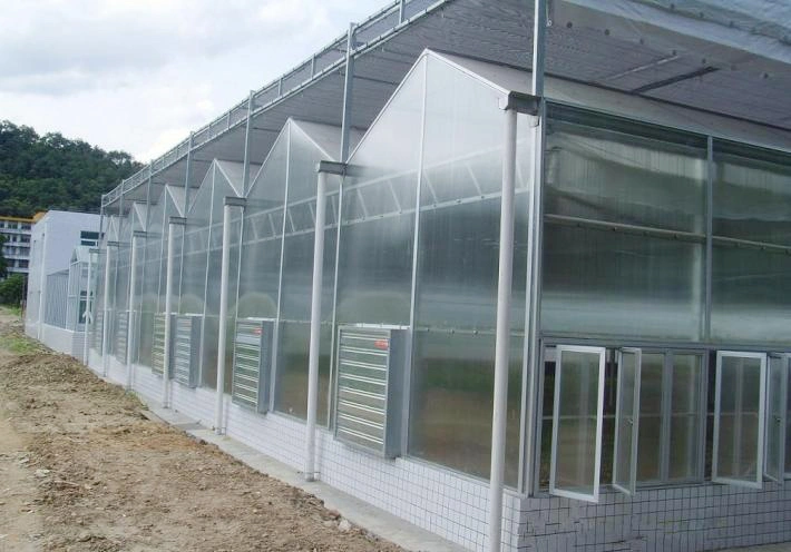 Multi-Span PC Sheet Garden Greenhouse with Hydroponic Growing Systems