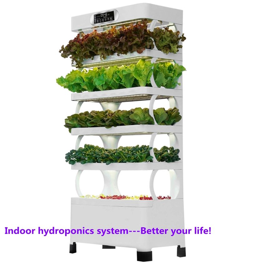 Agricultural Greenhouse Vertical Aquaponic System Commercial Hydroponics Growing System