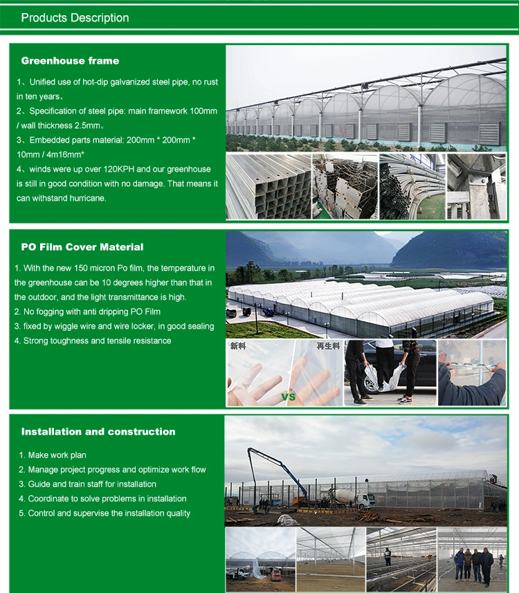 Agricultural Vegetables Aquaponic System Po Plastic Film Commercial Multi-Span Greenhouse