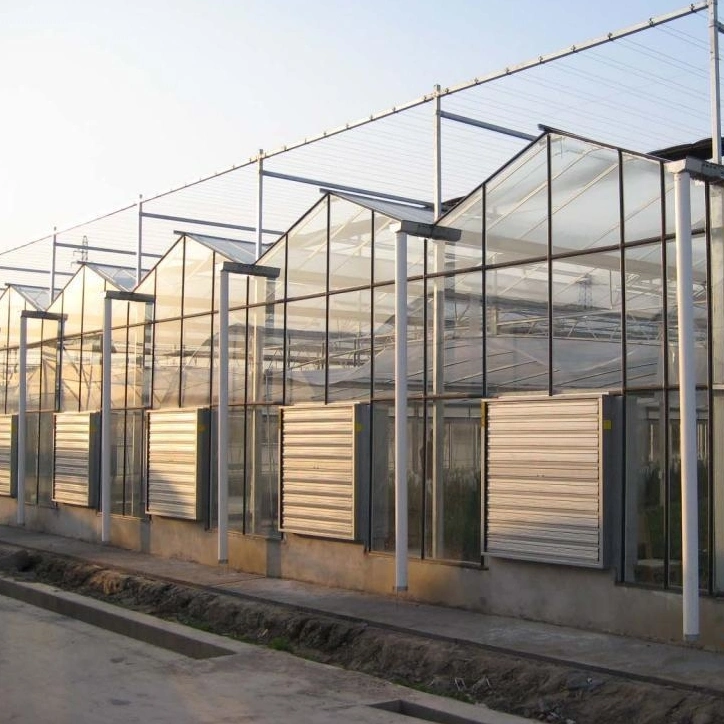 Glass Venlo Greenhouse with Tunnel