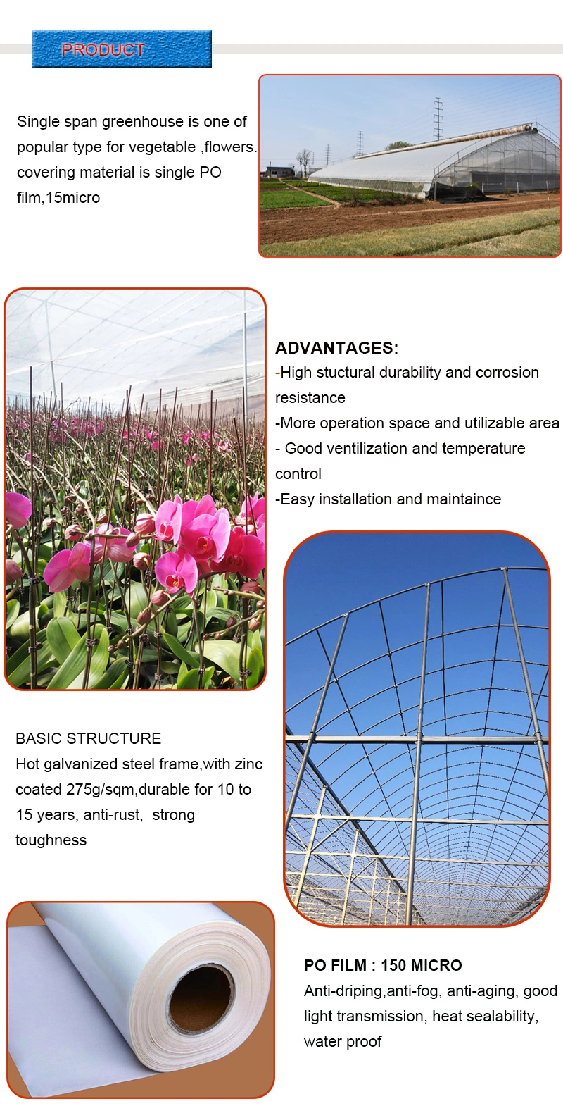 Low Cost Single Layer Film Single Span Greenhouse for Sale