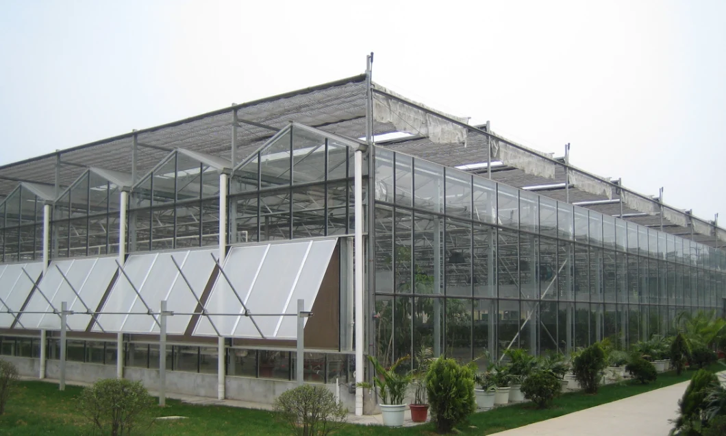 Cooling and Shading System in Summer for Venlo Greenhouse