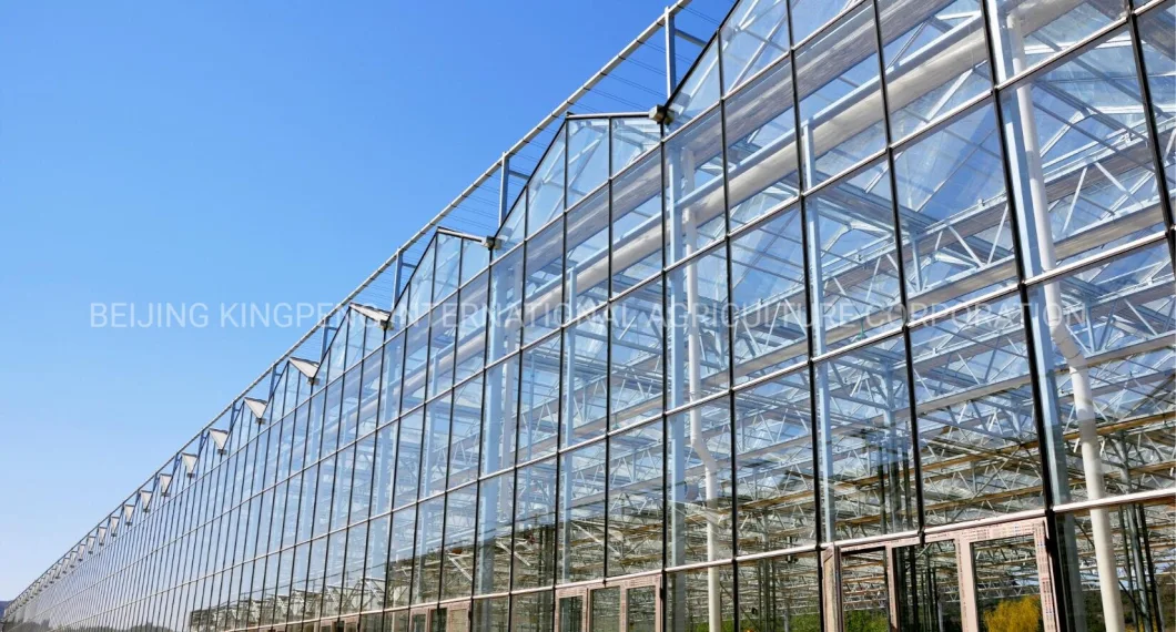 Hydroponic Glass/PC Greenhouse with Automatic Environment Control System