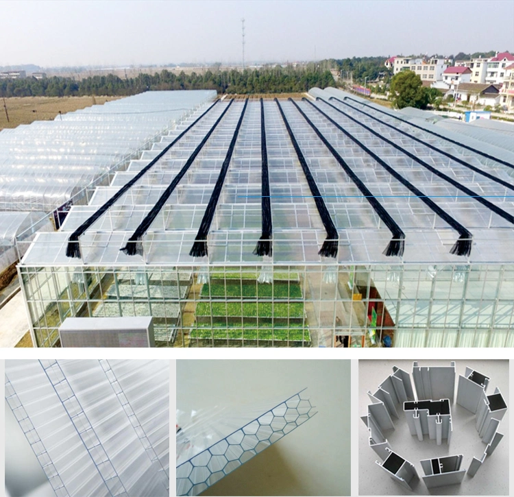Commercial Turnkey Poly Climate Control Multi-Span Farm Multi PC Sheet Greenhouse