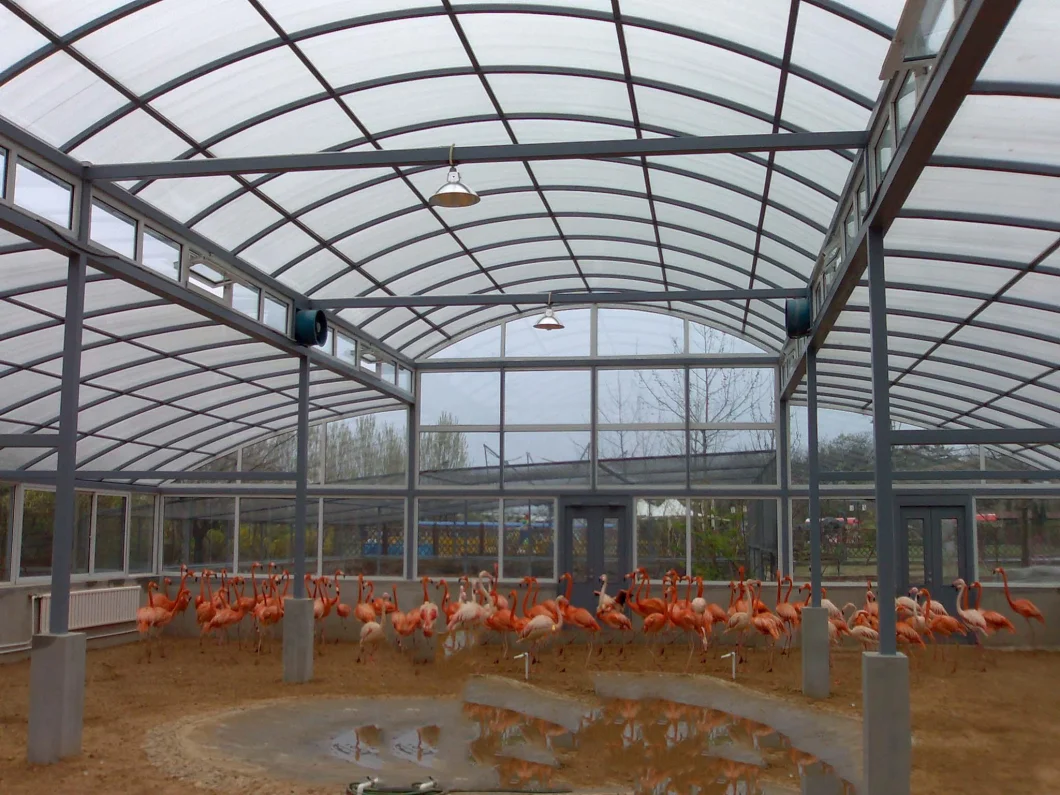 Breeding Greenhouse Multi Tunnel Po/PE Film Greenhouse for Vegetables