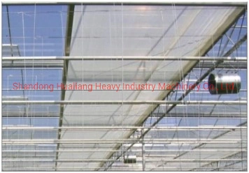 Polycarbonate Sheet Greenhouse with Hydroponics System for Growing Tomato/Cucumber