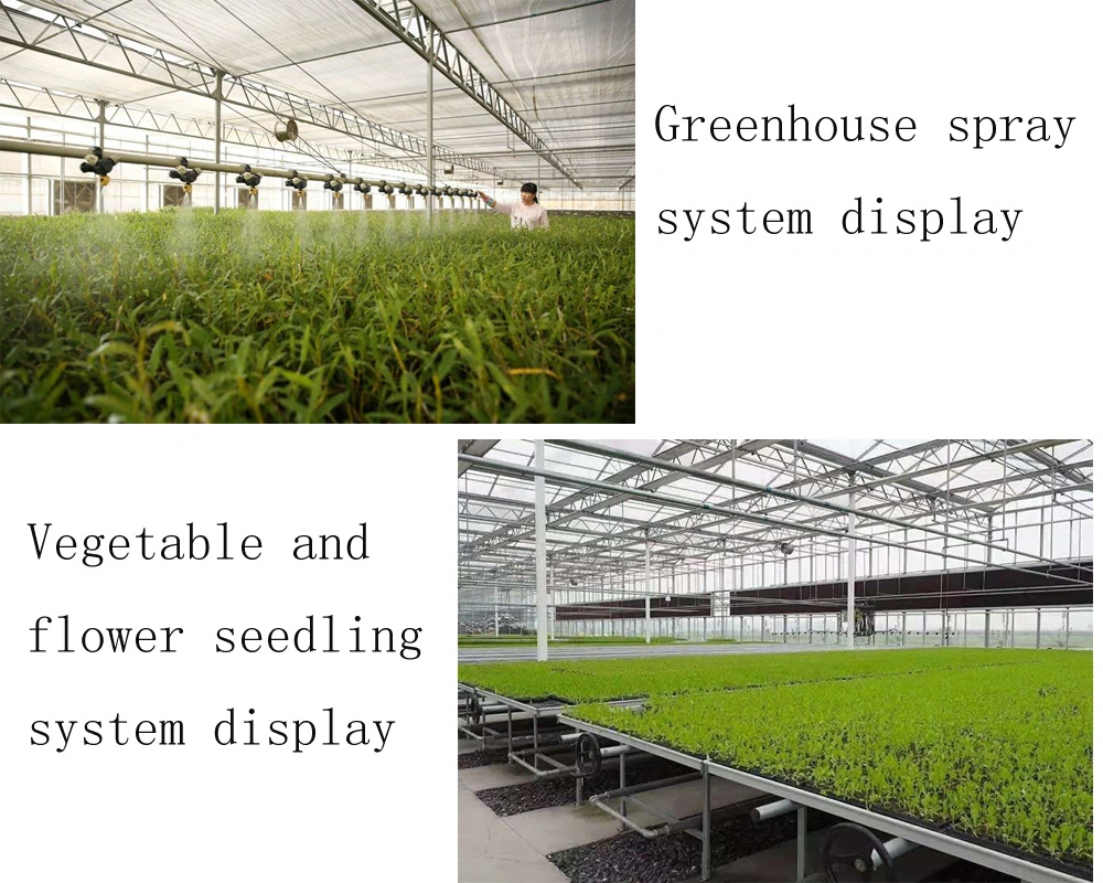 Agricultural Large-Scale Intelligent Cultivation Hydroponic System, Glass Greenhouse Soilless Cultivation, Tomato Greenhouse Planting Greenhouse