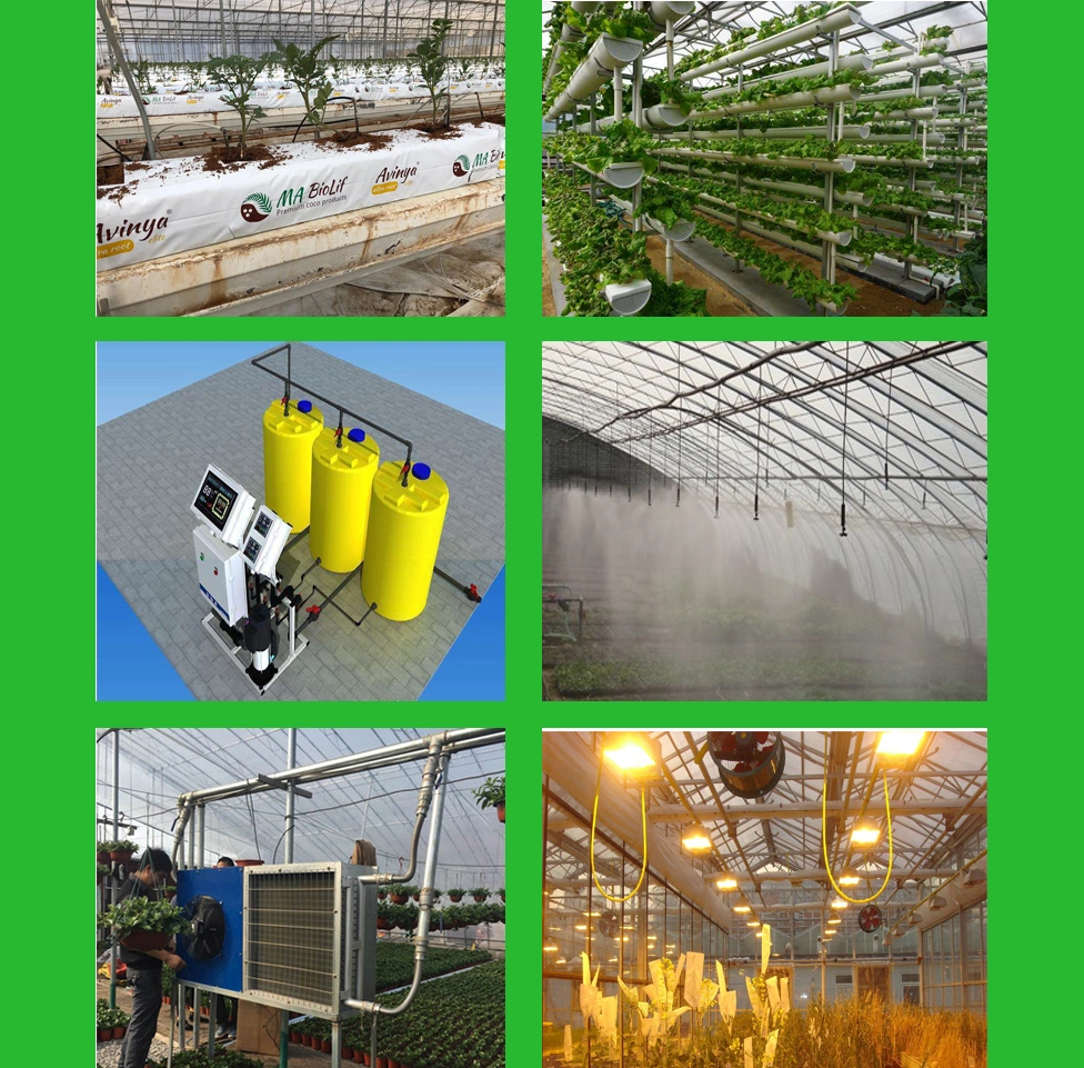 Galvanized Steel Farm Poly Tunnel Greenhouse for Cucumber