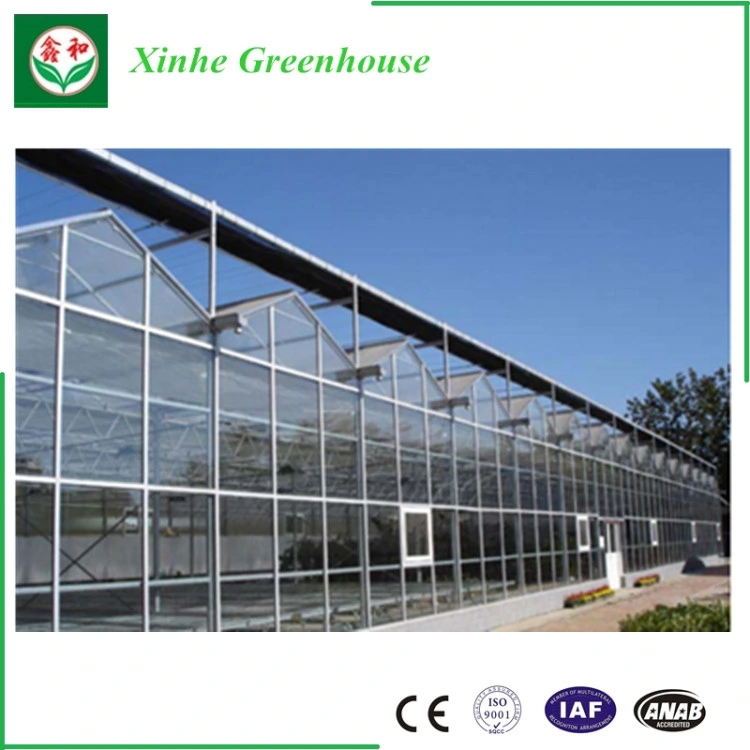 PC Board Covered Sunlight Greenhouse UV Coating Polycarbonate Greenhouse for Cabbage/Celery/Mushroom/Green Cucumber