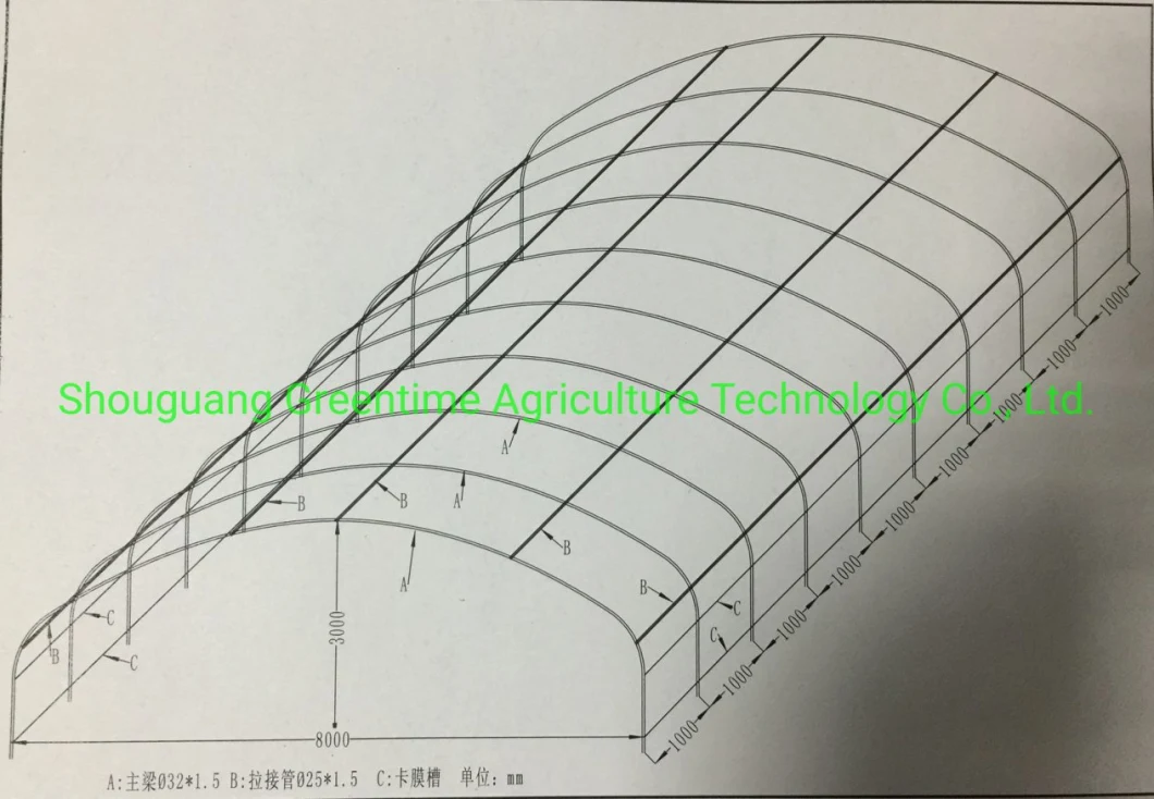 Single Span Tunnel Greenhouse for Fruit/Cucumber Planting