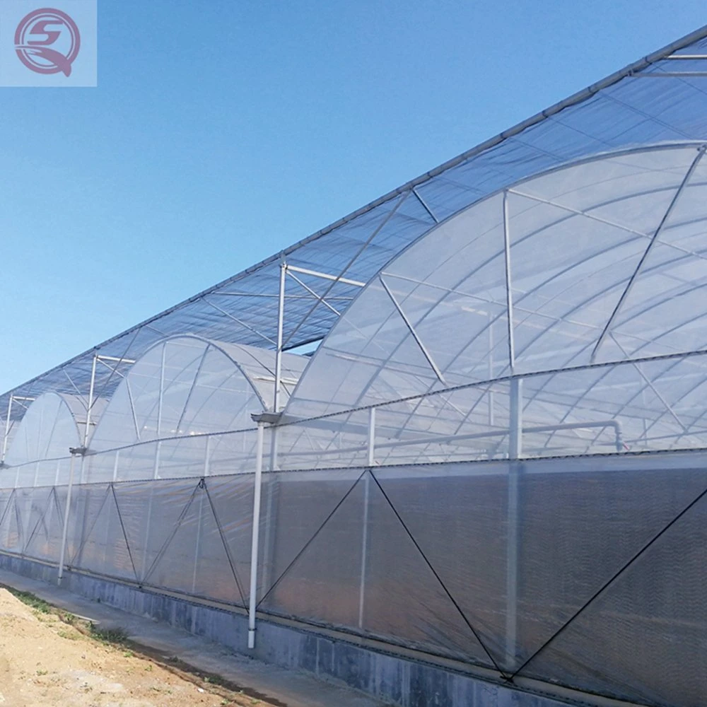 Multi-Span Galvanized Steel Frame Polytunnel/Film Agricultural/Farming/Plant Greenhouse Hydroponic for Vegetable/Fruit/Garden