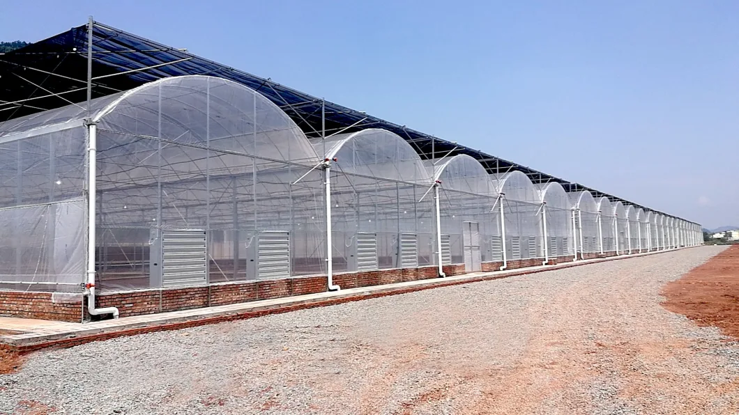 Agricultural/Garden/Farm Plastic Po/PE Film Greenhouse for Vegetable Tomato/Cucumbers/Lettuce/Pepper