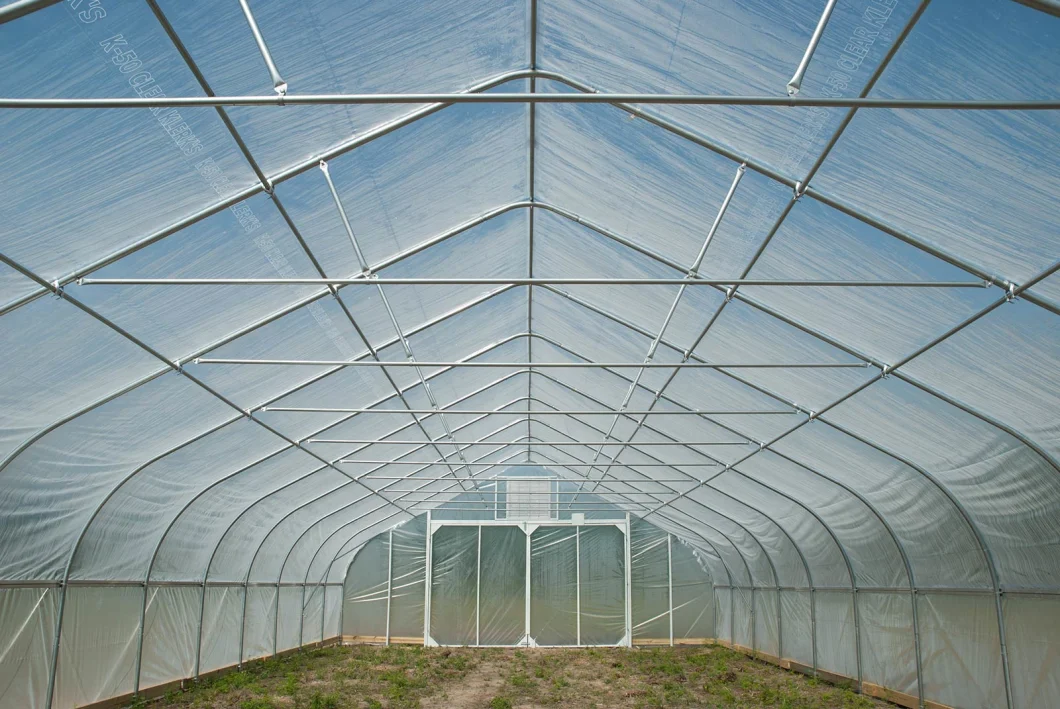PE Film Horticultural Single Tunnel Greenhouse for Tomato and Cucumber