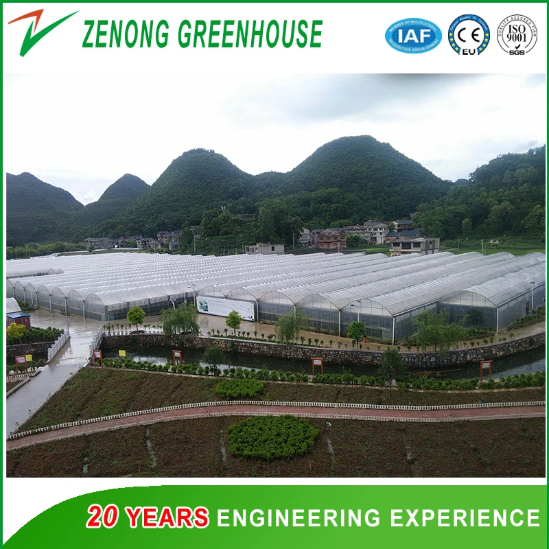 Prefabricated Building Polycarbonate Sheet Multi-Span Greenhouse for Tourism/Flower Cultivation/Seedling Breeding