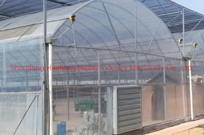 Plastic Film Greenhouse with Hydroponics System for Growing Tomato/Cucumber/Lettuce