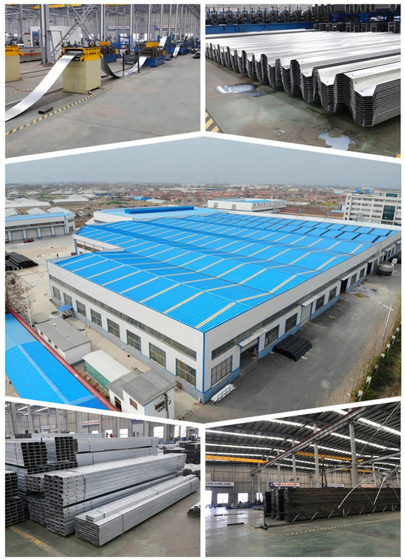Commercial Used Intelligent PC Sheet Greenhouse for Aquaponic/Hydroponic/Soil Less Cultivation System