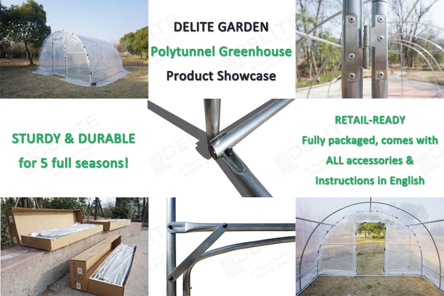 Multi Use Greenhouse 5 M Wide Polytunnel Green House Plant Grow Hothouse for Tomato Cucumber Strawberry