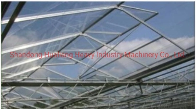 Multispan Glass Greenhouse with Hydroponics for Medical Hemp Growing
