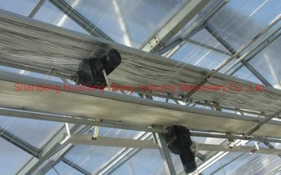 Commercial Polycarbonate Sheet Greenhouse for Cannabis/Hemp Growing