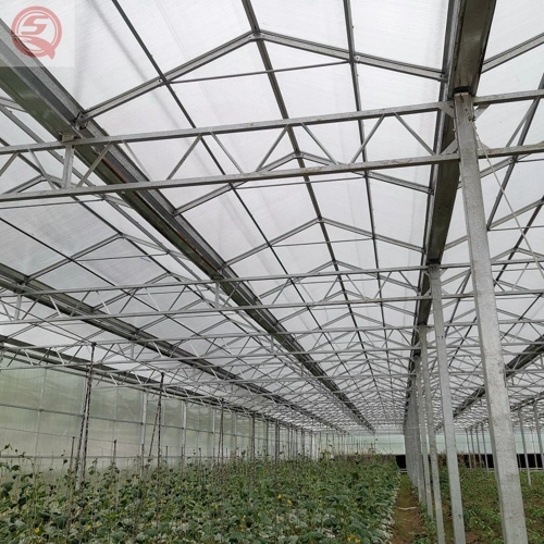 China PC Sheet Agriculture/Cucumber/Lettuce/Tomato Greenhouse with Hydroponics Systems