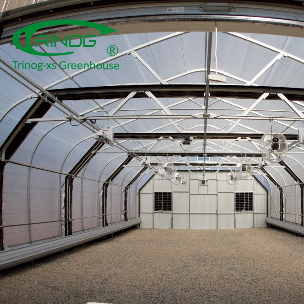 LED lighting hemp CBD light deprivation greenhouse in blackout system for hemp planting