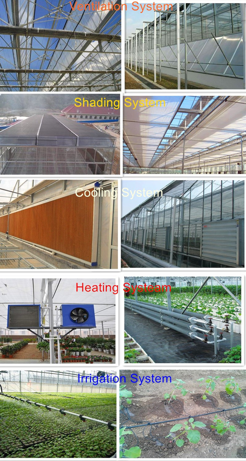 Commercial Multi-Span PC Sheet Intelligent Greenhouse for Tourism/Flower Market/Seedling Breeding
