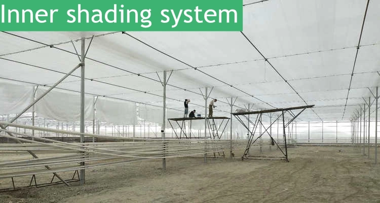 Hot Sale Multi-Span Film Agricultural Greenhouse for Tomato/ Cucumber Planting