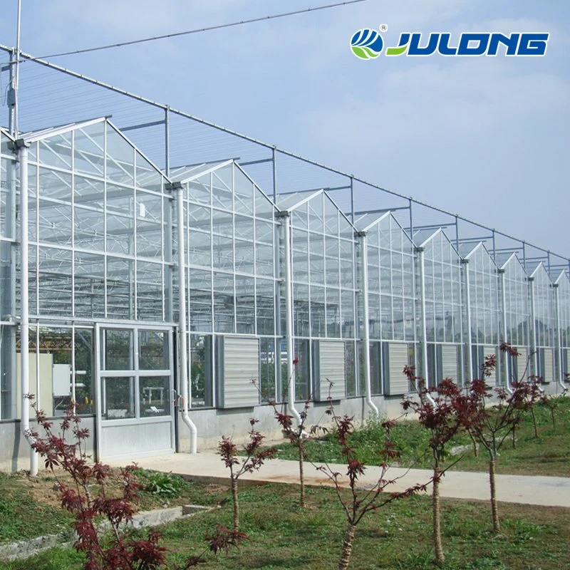 Venlo Type Intelligent Glass Agricultural Greenhouse with Inside Shading System