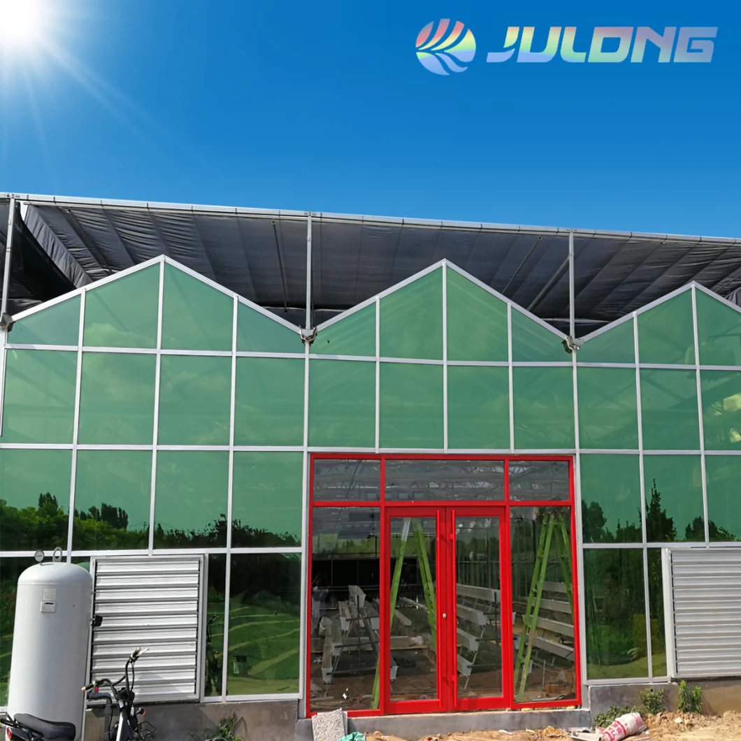 China Aquaponic Supplier Agricultural Equipment Glass Venlo Greenhouse for Mushroom Planting Farming