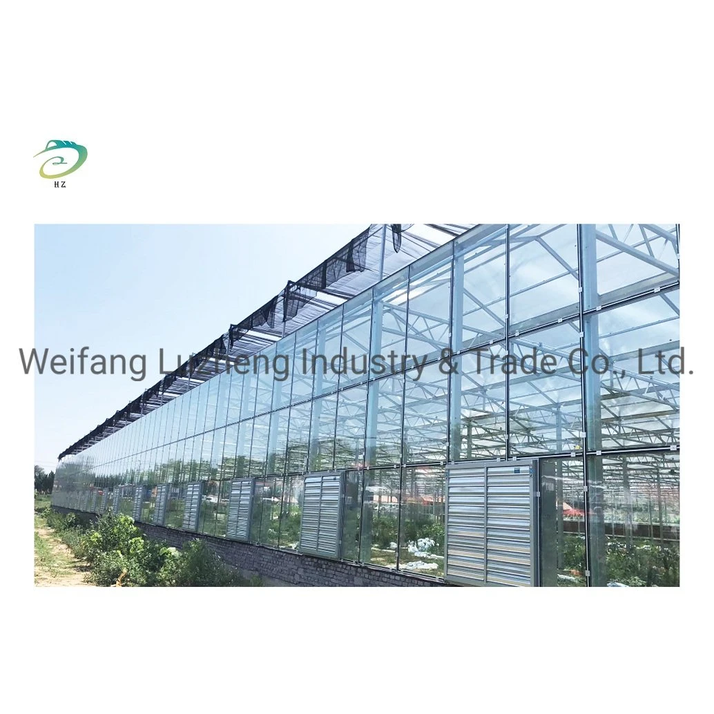 Hydroponic Venlo PC Polycarbonate Energy Drive Photovoltaic Panel Solar Greenhouse, Glass Greenhouse