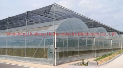Plastic Film Greenhouse with Hydroponics System for Growing Tomato/Cucumber/Lettuce