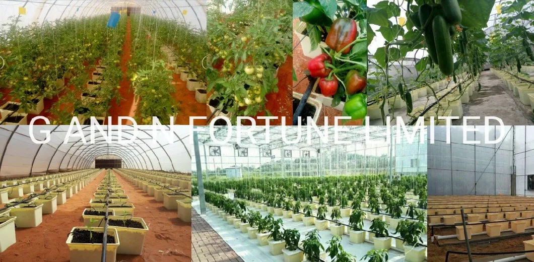 XPS Polystryren Board for Hydroponic Plant Growing Lettuce Vegetables Greenhouse Dwc Planting Foam Floating Plate