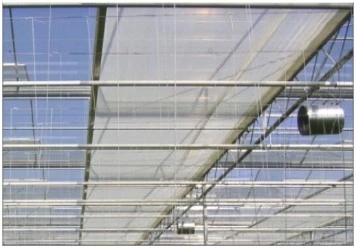 Poly Tunnel Greenhouse with Greenhouse Film for Commercial Agricultural