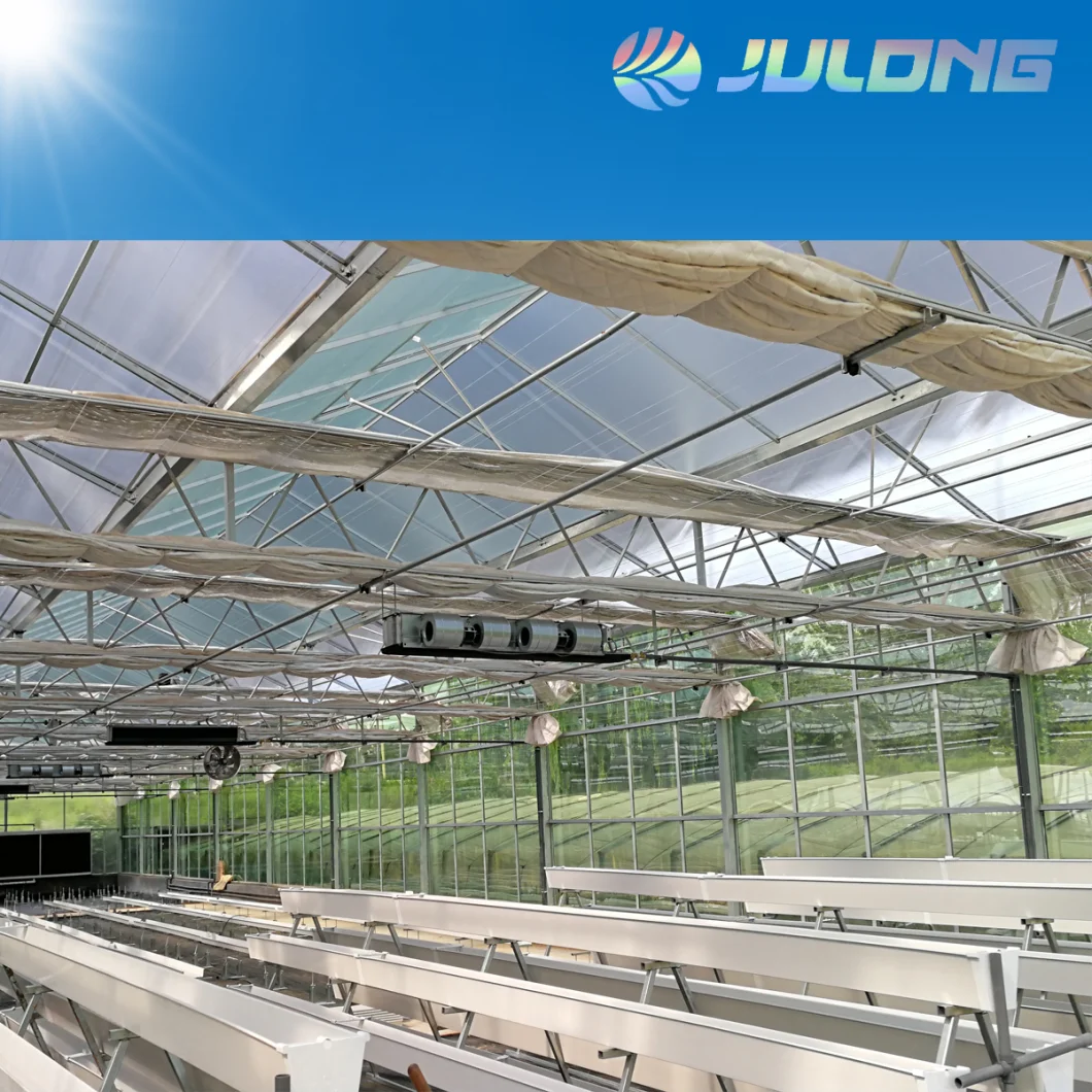 Agricultural Glass / Float Glass Greenhouse for Tomato / Tempering Glass Fruit