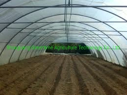 Single Span Tunnel Film Greenhouse for Fruit/Cucumber Planting