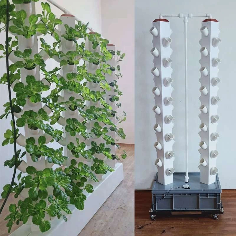 Hydroponic Dutch Bato Bucket System for Greenhouse Growing Tomato Cucumber