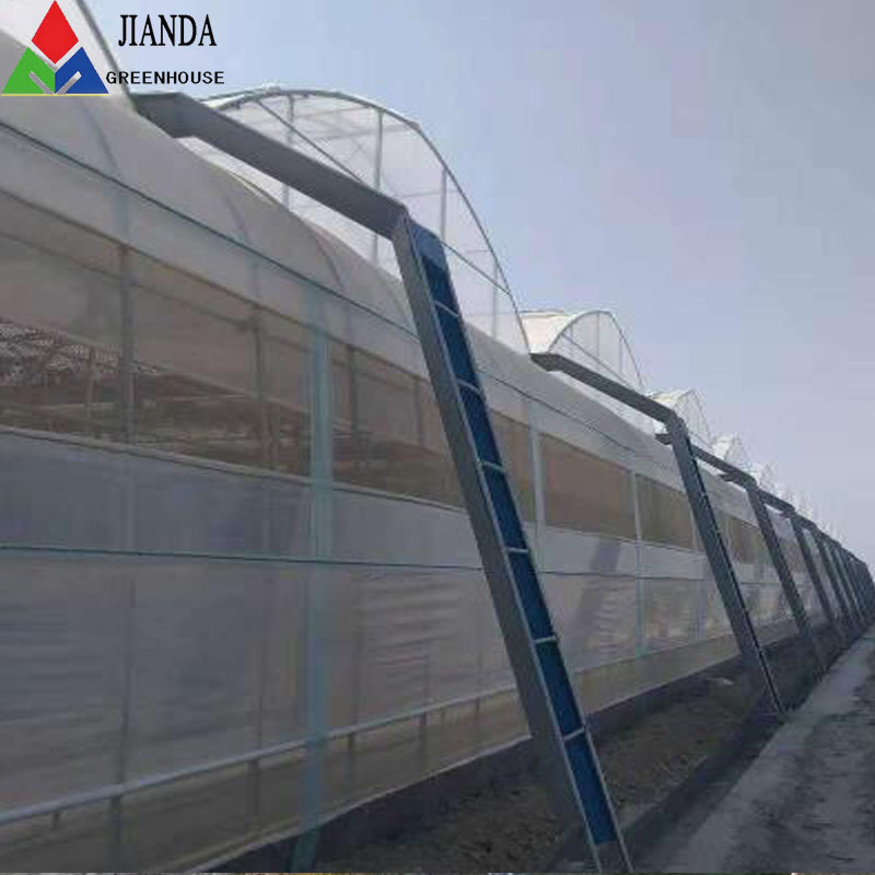 Low Cost Greenhouse Plastic Multi-Span Agriculture Tunnel Greenhouse