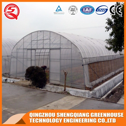 Agricultural Single Span Po/PE Film Covered Greenhouse for Vegetables Tomatoes/Cucumber/Peppers/Strawberry