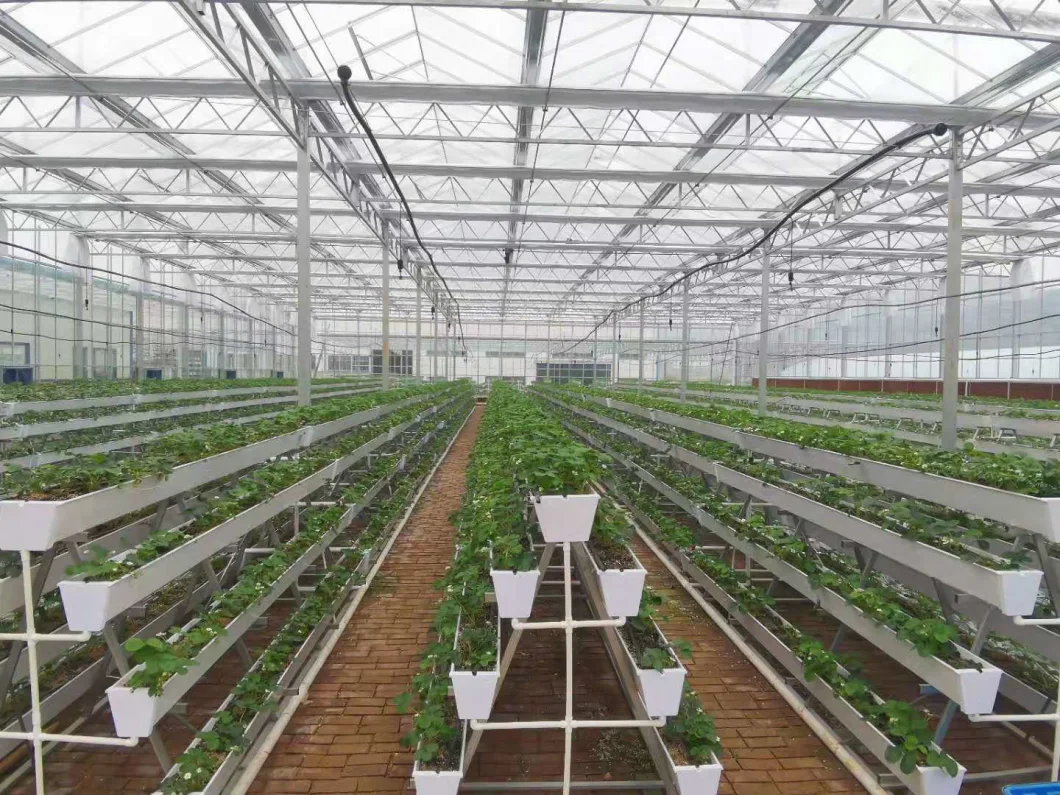 Agriculture Vegetables Hydroponic Systems Equipment Multi-Span PC Greenhouse