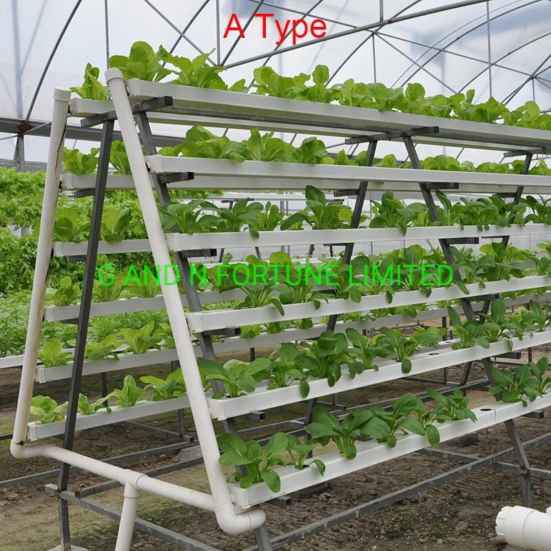 Nft Hydroponics System for Vegetable Vertical Hydroponic Growing in Greenhouse PVC Pipe Aquaponic System