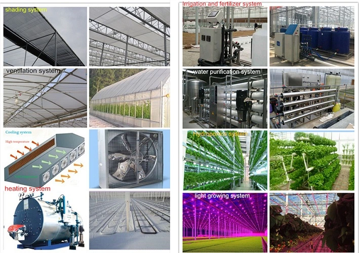 Agriculture Environmental Photovoltaic Panels Greenhouse for Vegetables/Cucumbers/Tomato/Flower/Garden/Salad