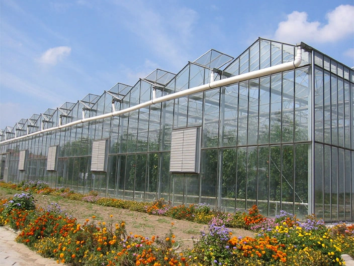 Hot-Sale Venlo Type Glass Greenhouse for Tomatoes/ Cucumber/ Lettuce