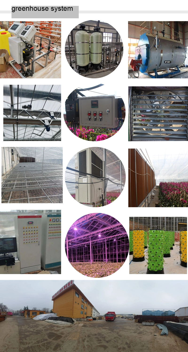 Top Quality Film Covering Automatic Light Deprivation Greenhouse