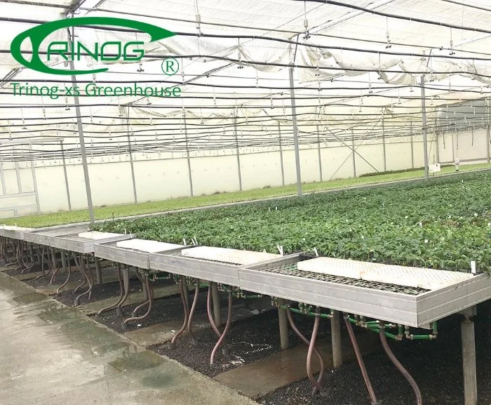 Smart horticuture used roof plastic Film Greenhouse farm with inner shading system