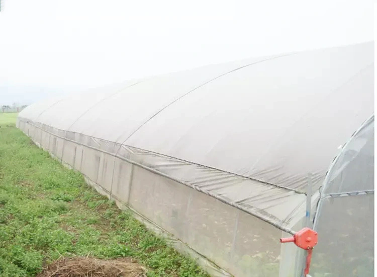 Used Vegetables/ Breeding Small Single Span Farming Plastic Film Tunnel Greenhouse