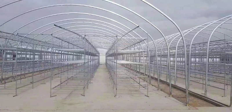 China Tunnel Polytunnel Greenhouse for Sale