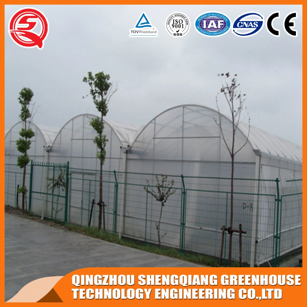 China Agriculture Tunnel Plastic Greenhouse with Shading System